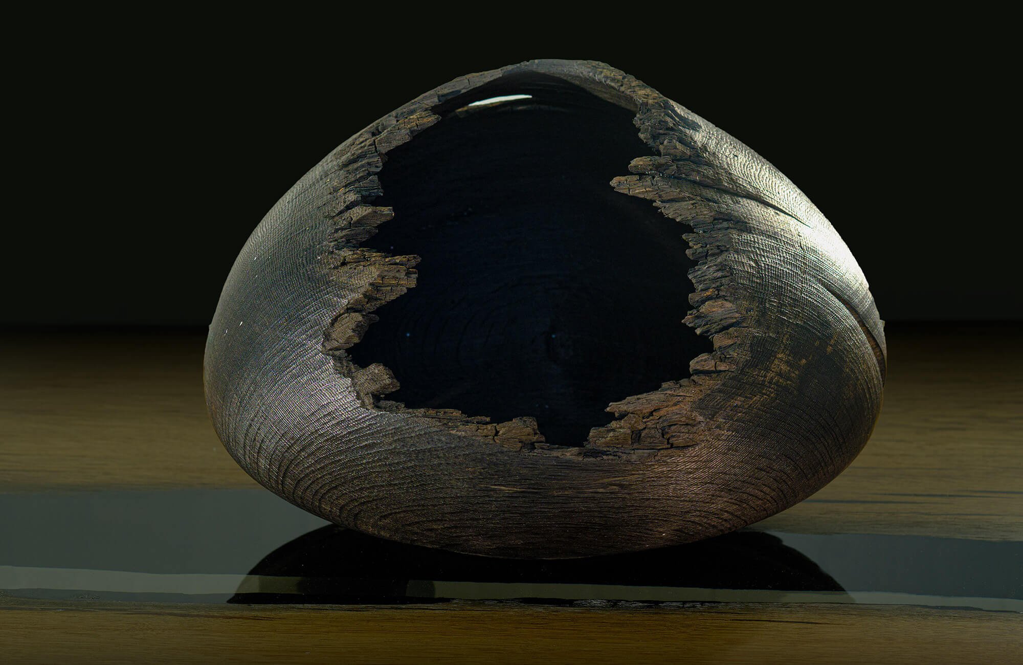 teúkhō Fossil wood furniture, fossil wood lamp